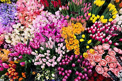 PC《真三国无双：起源》试玩版今日上午9点上线